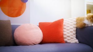 ACLIUM WIFI Cat & Dog Feeder_Air tight Automatic Feeder (Square Design)