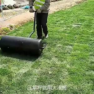 Grass Land Flattening Lawn Roller