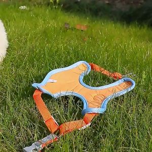 Dog Harness with leash for Dog Pet Chest Strap Fine Lines Round Rope Leash Dog Body Chain pet scarf