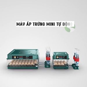Máy ấp trứng gà thông minh máy ấp trứng mini tự động máy ấp hoàn toàn thế hệ mới
