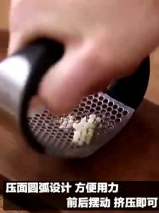 Garlic Press Stainless / Alat Peras Penghancur Bawang Garlic Crusher