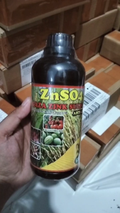 PUPUK CABE ANTI PATEK Dan KUTU PUTIH Tanaman Cabe ZNSO4 GAZA ZINK SULFATE 500 ML – Obat Semprot Cabe Anti Rontok Rebah Semai Bercak Hitam Daun Cabe Anti Gagal Panen Cabe / Cabai Rawit Cabe Domba Cabe Hijau dll – Pupuk Fungisida Pestisida Kalium Cabe
