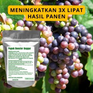Pupuk Booster Anggur Pelebat Organik Cepat Berbuah Lebat Besar Anti Rontok Pembesar Anggur