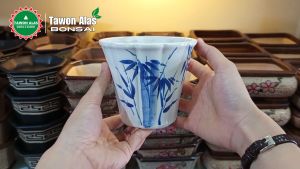 Pot Keramik Bonsai Kaktus Sukulen Tanaman Hias