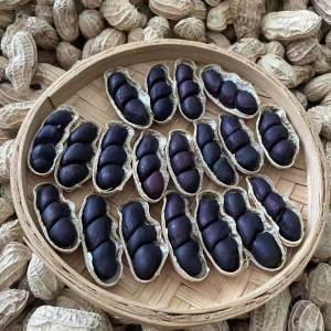 Selenium Rich Sun Dried Black Peanuts Shell