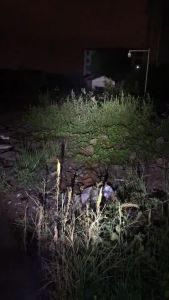 YUPARD T6 Strong Light Diving Fixed Focus Flashlight for Underwater Long Range Shooting Water and Land Dual Use Super Waterproof Comes with Battery and Charger