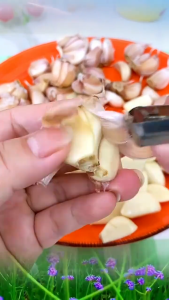 Stainless Steel Manual Garlic Peeling Clip Vegetable Nut Shell Remover Tool Garlic Plucking Tweezers