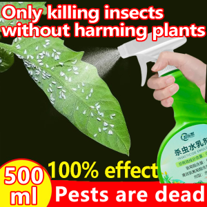 Plant insecticide spray 500ml No harm to plants Bug Spray | Aphids | Mites | Thrips
