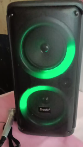 Brudo BTS-2091 Dual 6.5-inch Professional Bluetooth Speaker