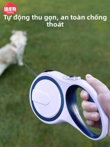 hipidog | Auto Retractable Pet Leash Teddy Bear Dog Exclusive
