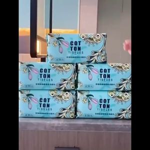 Thickened Skin-Friendly Cleansing Tissue (2 Packs Total 200 Sheets)