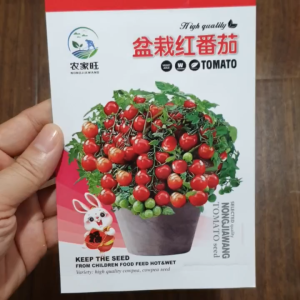 Hạt giống cà chua bi ĐỎ lùn chịu nhiệt hạt giống cà chua bi lùn nhập khẩu - Yến Liên shop