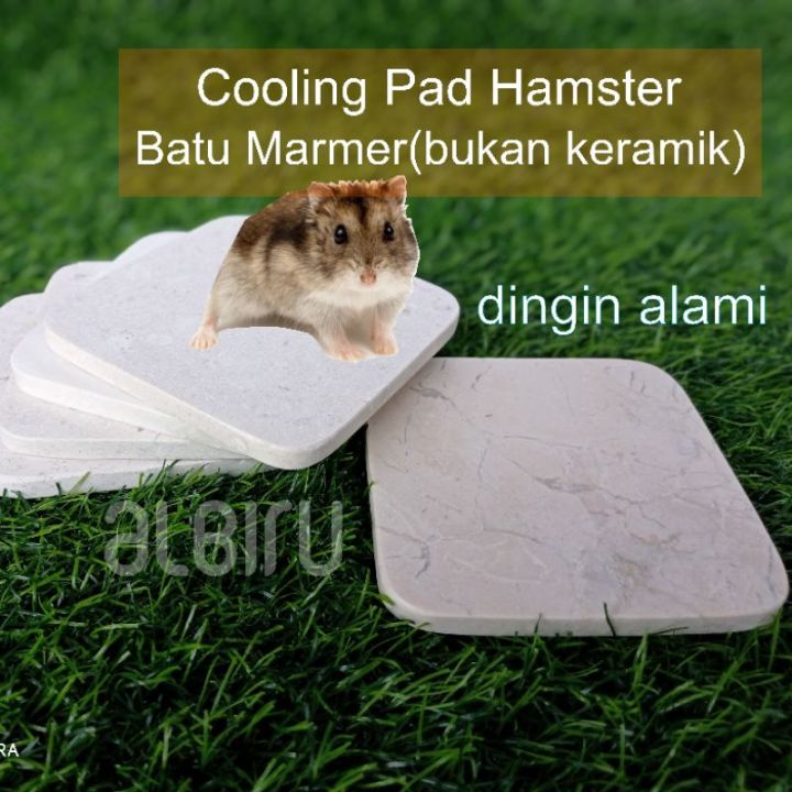 hamster cooling pad| pendingin hamster mainan coaster marmer