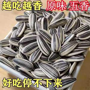 Large Kernel Sunflower Seeds Snack