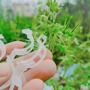 Bộ 100 Kẹp thân cây dây leo kẹp nhánh kẹp cố định cây trồng tái sử dụng được nhiều lần -AENEA