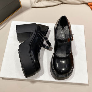 Womens Thick Heel High Heel Mary Janes Retro French Style Spring 2025 Fashion Single Shoes Comfortable round Toe T-Strap Closure