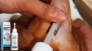 น้ำหูสำหรับสัตว์เลี้ยง 120 มล. น้ำยาทำความสะอาดหูสำหรับสุนัขแมวกระต่ายและสัตว์เลี้ยงสำหรับทำความสะอาดกำจัดกลิ่นขจัดคราบ