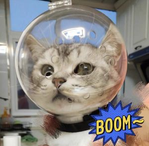 ตะกร้อครอบปากใสทรงกลมสำหรับแมวสัตว์เลี้ยงลูกแมวระบายอากาศได้ดี Helm Astronot ลูกแมวปรับได้ป้องกันการเกาสำหรับแมวและเลียผม