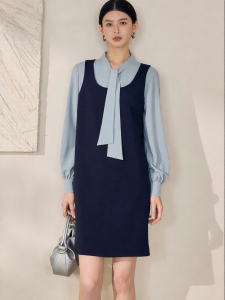 Roey s house | Fashion Business Casual Spliced Bow Pseudo Two-Piece Women Dress