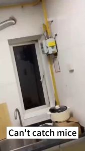 No rats within 5 km Rat Poison Killer 500g The mouse dies after eating one bite Racun tikus paling kuat cepat mati Mouse Killer bait Exerts an irresistible attraction to rats Racun tikus mati 3 saat Ubat tikus rats cepat 老鼠药三步倒杀鼠药