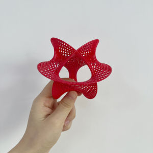 Bộ Mô Hình Vật Lý Đa Chiều Calabi-Yau Manifold Space Model Topology Superstring Theory Mathematical Physics Decorative Items