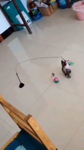 Fly-soft ของเล่นแมว ของเล่นล่อแมว Cat toy ขนนก แบบปุ่มดูดสุญญากาศ ไม้ตกแมว ไม้แหย่แมว สําหรับแมว แมวยั่ว