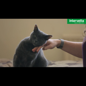 FELIWAY® Classic Diffuser Kit ชุดเครื่องพ่นฟีโรโมนแมวพร้อมไส้เติม ช่วยลดความเครียด ลดความกังวล ช่วยให้แมวผ่อนคลาย ปรับพฤติกรรมน้องแมว