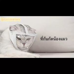 ที่กันกัด ที่รัดปากแมว PVC มีช่องหายใจ