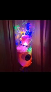 ช่อดอกกุหลาบพร้อมไฟตกแต่ง ช่อดอกไม้ ของขวัญ ของขวัญวาเลนไทน์ ของขวัญปัจฉิม