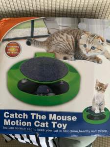 Catch the mouse motion cat toy