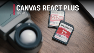 Kingston Canvas React Plus V60 SD Class 10 UHS-II U3 V60 SDR2V6 ( 128GB / 256GB / 512GB / 1TB )