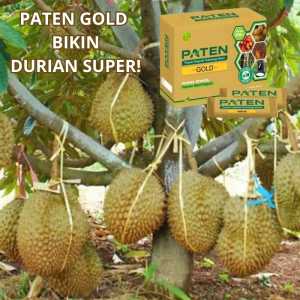 Pupuk Paten Gold DEngan Teknologi Nano Terbaru Bikin Durian Berbuah Besar & Lebat