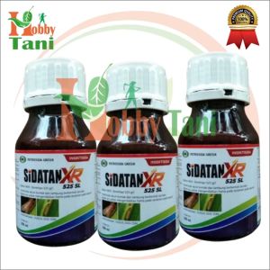 Sidatan XR 525 SL 200ml - Insektida Untuk Hama Wereng Sundep & Penggerek Batang