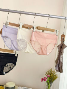 Lace Stitched See-Through Light Thin Triangle Panties Women