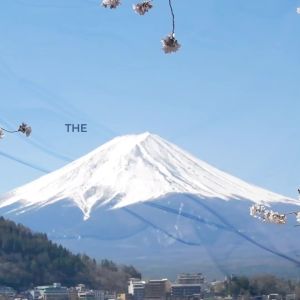 Dr Ann Glutathione 30 capsule 98% pure active 250mg OPITAC L-Glutathione  patented from Japan