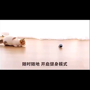 Interactive Dog Cat Ball Toy USB Charging Indoor Puppy Cats Automatic Cat Toy Self-Rolling Cat Ball Toy Self-Rotating Pet Exercise Toy Smart Electric Teaser Toy mainan kucing 貓咪 玩具