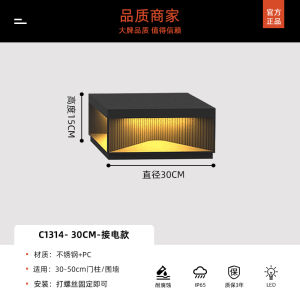 Solar Powered Stainless Steel Column Head Lights for Villa Fence Garden Outdoor Courtyard Wall Top Lighting Modern Simple Style