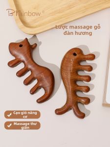Brainbow | Cải Tạo Đầu Da Đầu Cổ Mặt Bằng lược Massage Gỗ