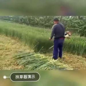 Honda Grass Trimmer 4 Stroke Brush Cutter & Tiller Attachment: Big Frame High Quality 43CC