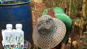 นุชฟอร์ไลฟ์ เน็ก-1 ขนาด  1 ขวด (อาหารเสริมพืช/ปุ๋ยน้ำ/ฮอร์โมนพืช)