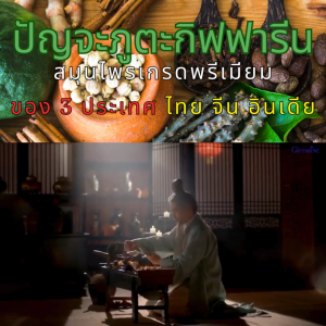 กิฟฟารีน เครื่องดื่มสมุนไพร 39 ชนิด ปัณจะ ภูตะ giffarine ปรับสมดุลร่างกาย บำรุงร่างกาย ชนิดน้ำ ชนิดเม็ด ของแท้ เหมาะสำหรับคนพักผ่อนน้อย ร่างกายอ่อนเพลีย ปลอดภัย มี อย. ส่งฟรี