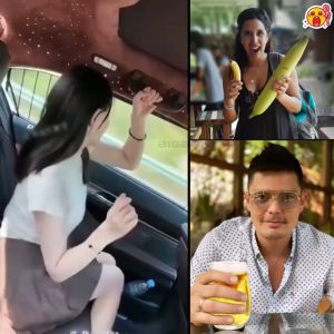 FIVE FLAVORS GOJI BERRY TEA Healthy Tea Male Enhancement Tea