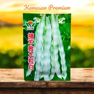 (KEMASAN PREMIUM) BIJI/BENIH TANAMAN BUNCIS HIJAU