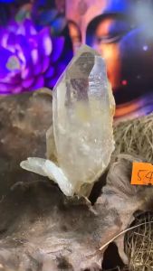Bụi tinh thể đá Thạch Anh Lemurian tự nhiên năng lượng chất nhọn vũ trụ mã 545