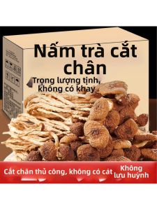 Grade A Trimmed Unopened Tea Tree Mushroom Soup Ingredient 500g