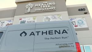 Athena PK ของแท้ 100% พร้อมส่ง ขนาด 32 ออนซ์ 946ml ปุ๋ยทำดอก เพิ่มผลผลิต เพิ่มฟอสฟอรัสและโพแทสเซียม