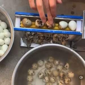 P 150/90R 28W Peeling Quail Eggs Electric Shelling Machine Household Small Peeler Automatic Egg Peeling 10008