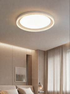 FANCY LAMP CLUB | Modern Simple All-Spectrum Ceiling Light