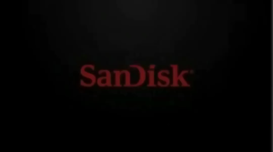 SD Memory Card 2TB 1TB 512GB 256GB 128GB  SD Flash Card Compatible With Mobile Phones And Computers Micro Sd card