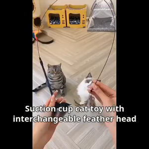 Suction Cup Feather Cat Teaser Wand With Bell Cute Interactive Play Toy Durable Portable Funny Kitten Entertainment Stick Multistyle Design Relieve Pet Boredom Easy Use Indoor Daily Training Playing Accessories For Cats And Kittens